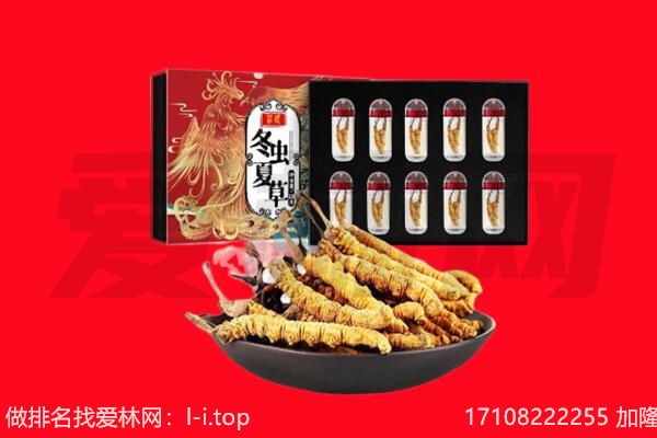 北京石景山区回收虫草.jpg